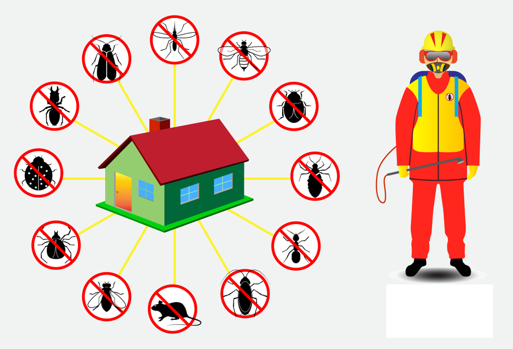 Best Pest Control Services in Lucknow